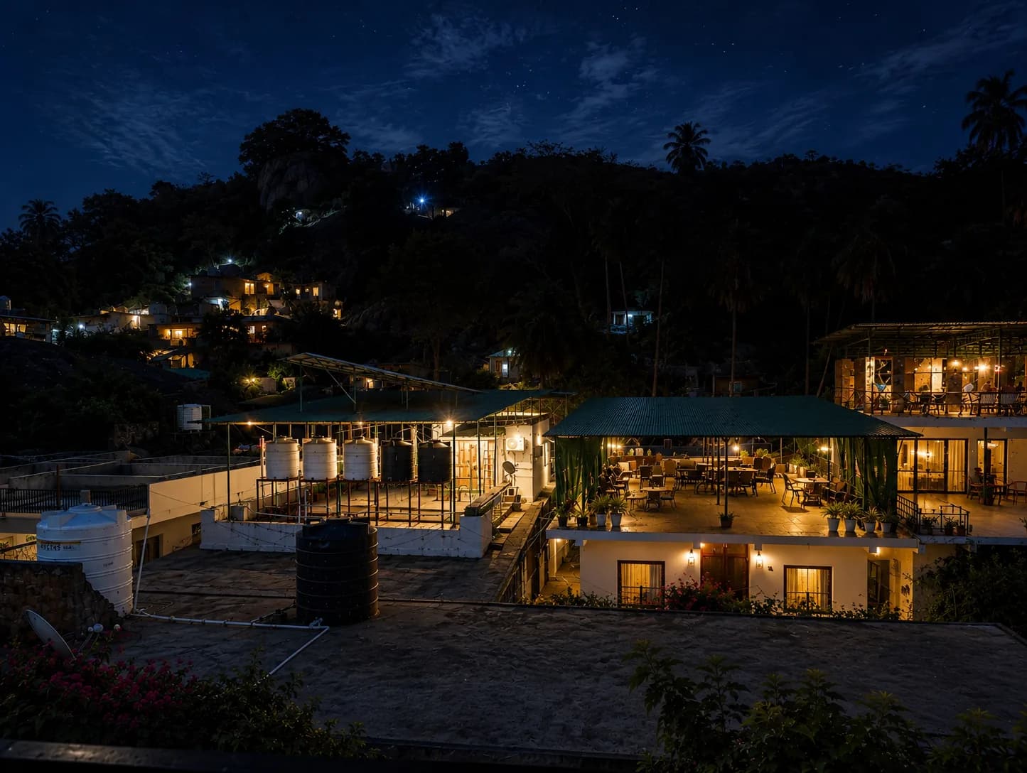 The Plum beneath the Mount Abu night sky